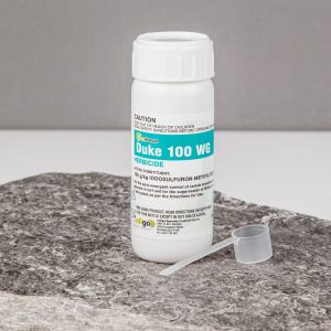 Indigo Duke 100WG 50g