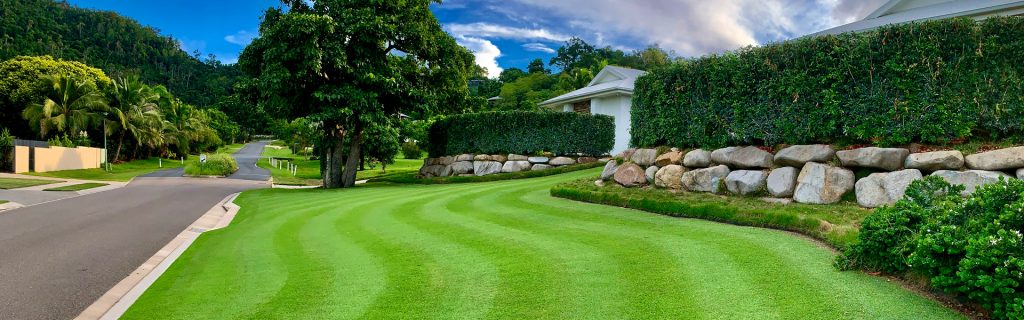 well cared for lawn