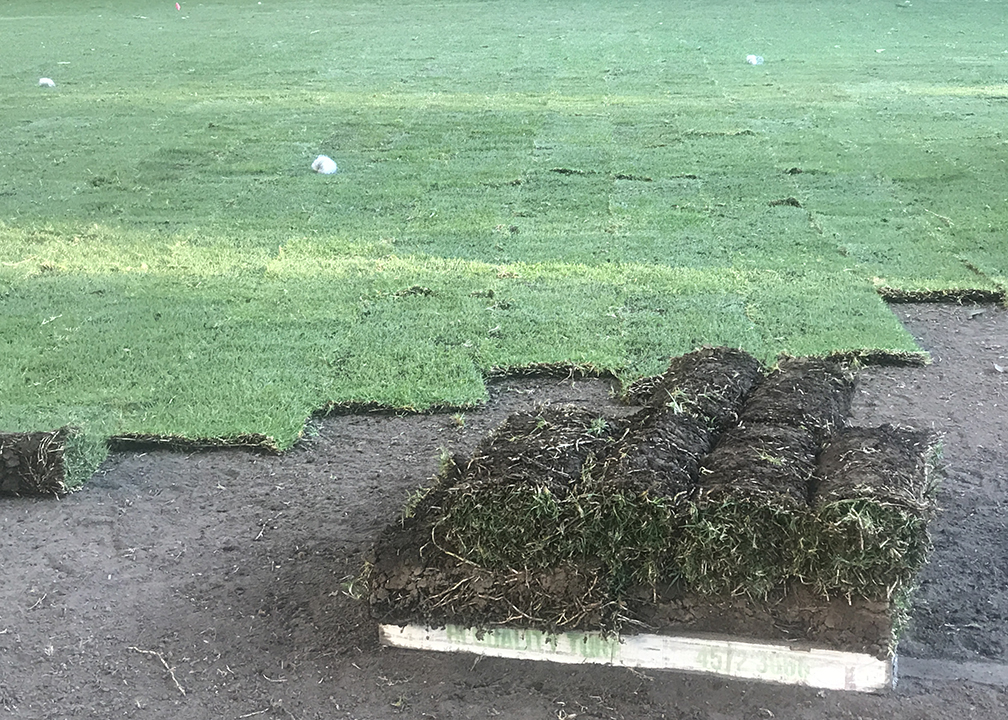 Hi Quality Turf