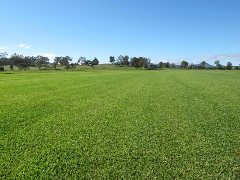 Australian Lawn Concepts