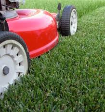 lawn mowing in shade