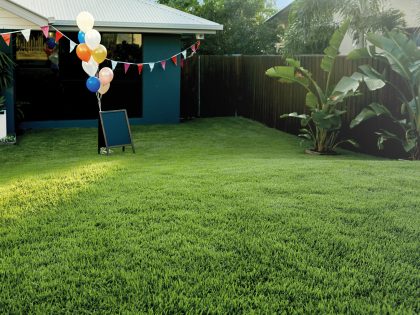 Freshly Layed Empire Zoysia Lawn in Backyard