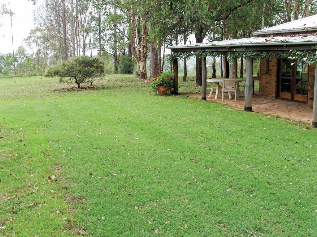 Large Nara Zoysia Lawn Next to Veranda