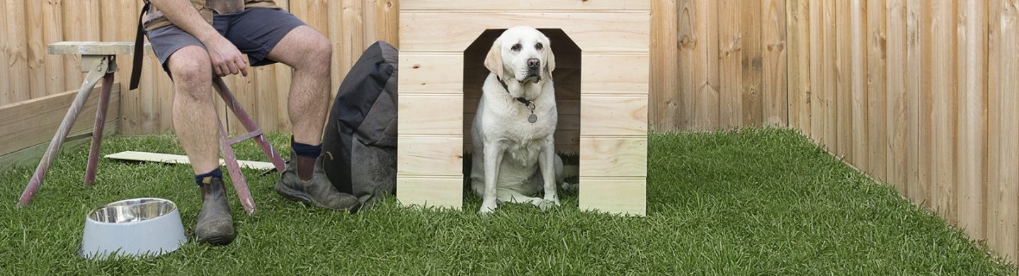 Dog Kennel on Top of Freshly Layed Palmetto Buffalo Turf