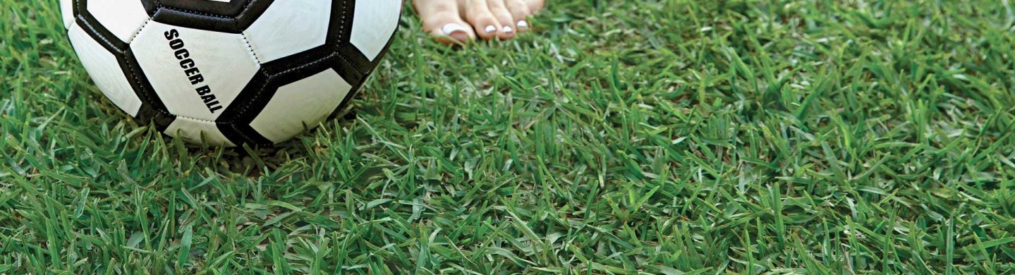 Soccer Ball on Top of Sapphire Buffalo Grass-Turf