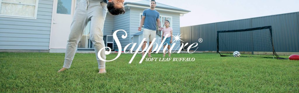 All Year Round Turf