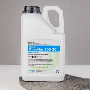 Indigo Rumbler 100SC – 5L