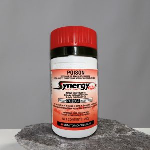 Synergy Pro Ant Bait 200g