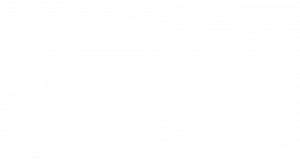 Palmetto Buffalo
