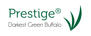Prestige Buffalo
