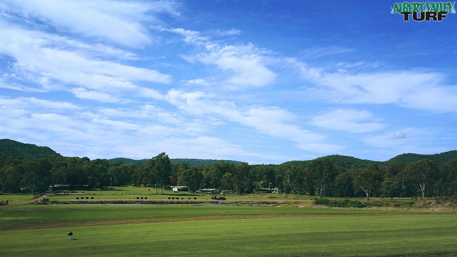 Albert Valley Turf