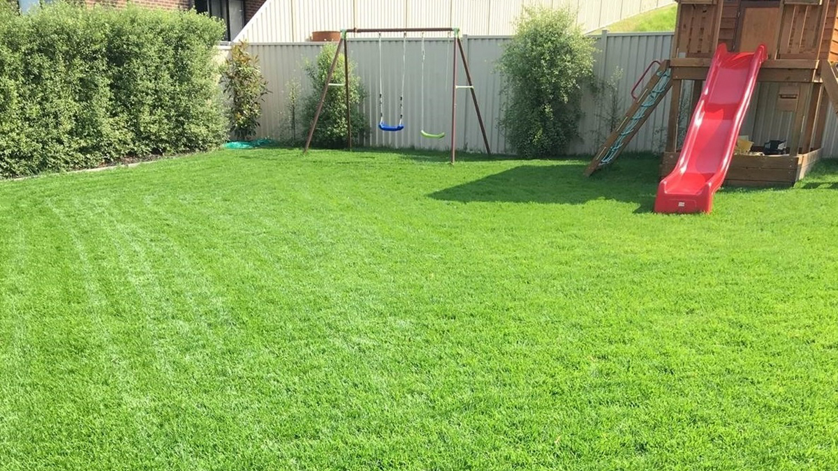 Australian Seed & Turf Farm