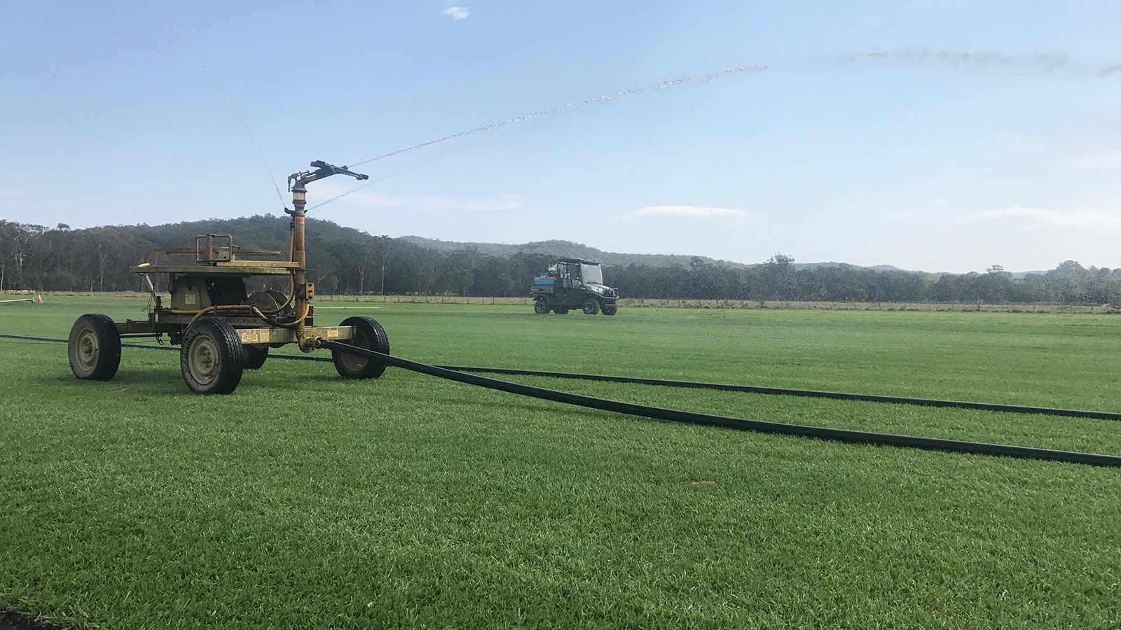 Mardi Park Turf