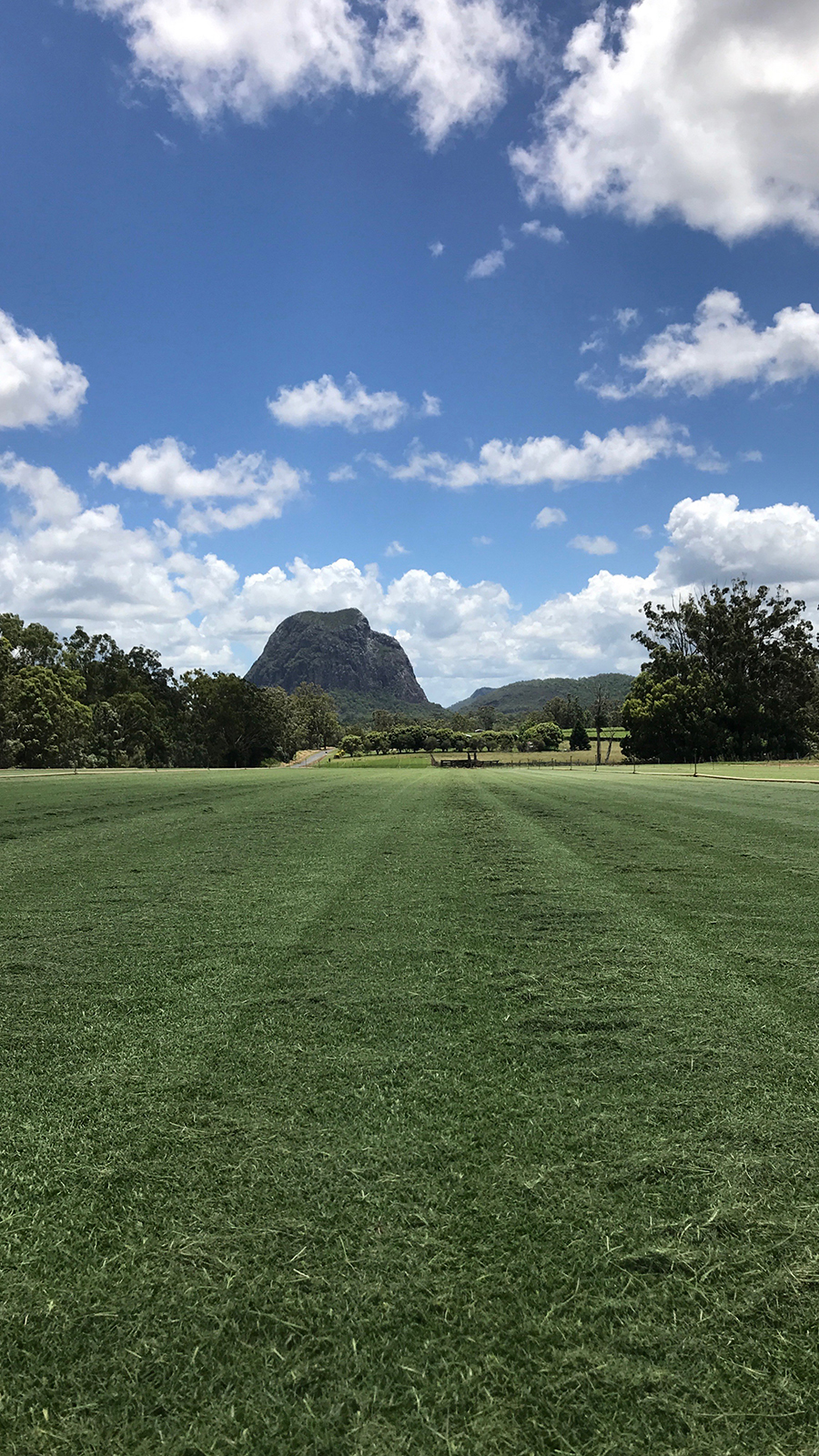 Wild Horse Turf