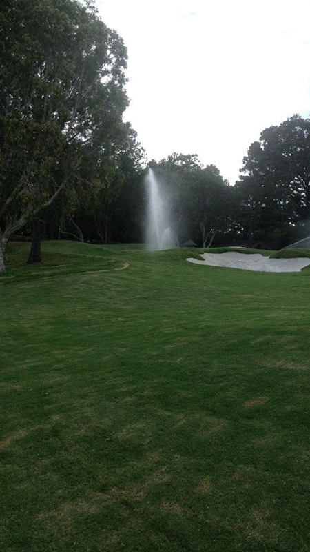 Allenview Turf