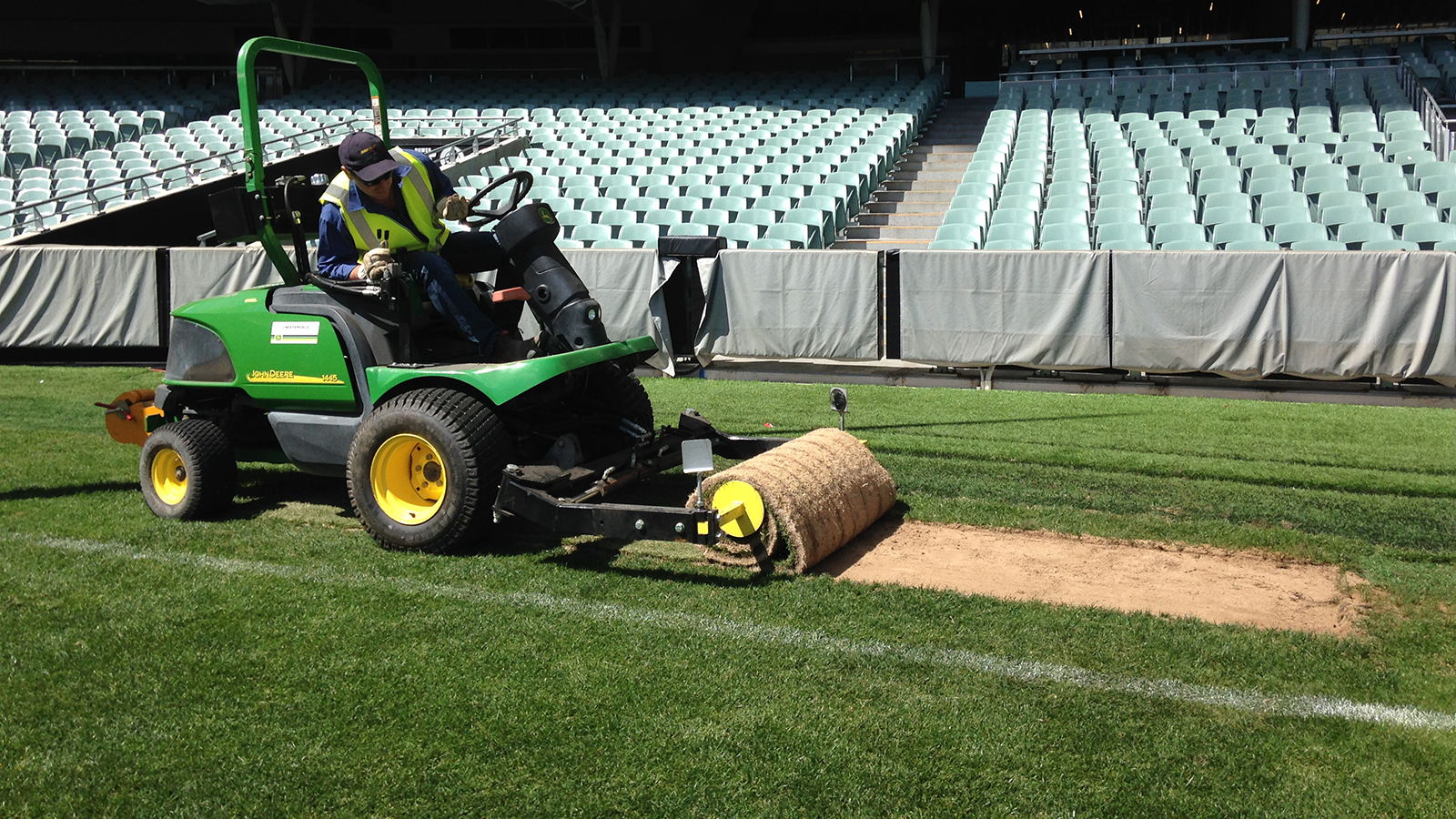 Bormann Turf