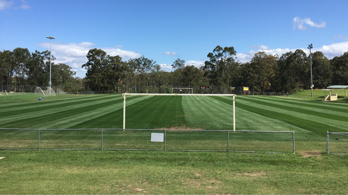 Hanceys Turf