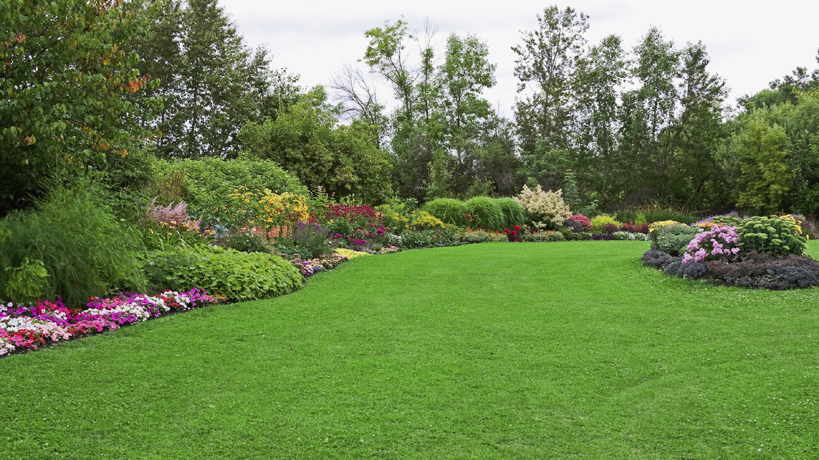 Hi Quality Turf