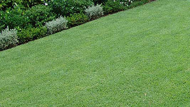 Roberts Turf Supplies