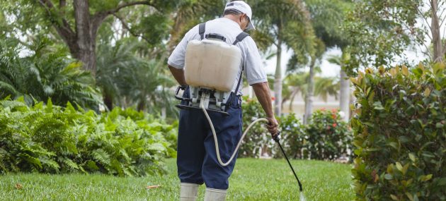 weed control for lawn