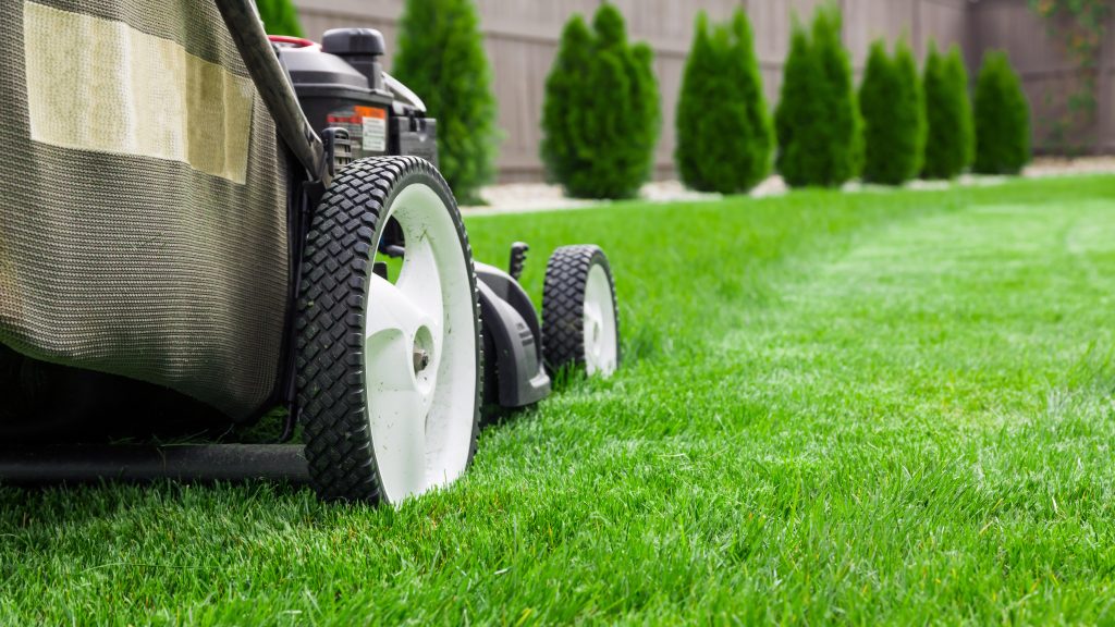 lawn mowing in shade