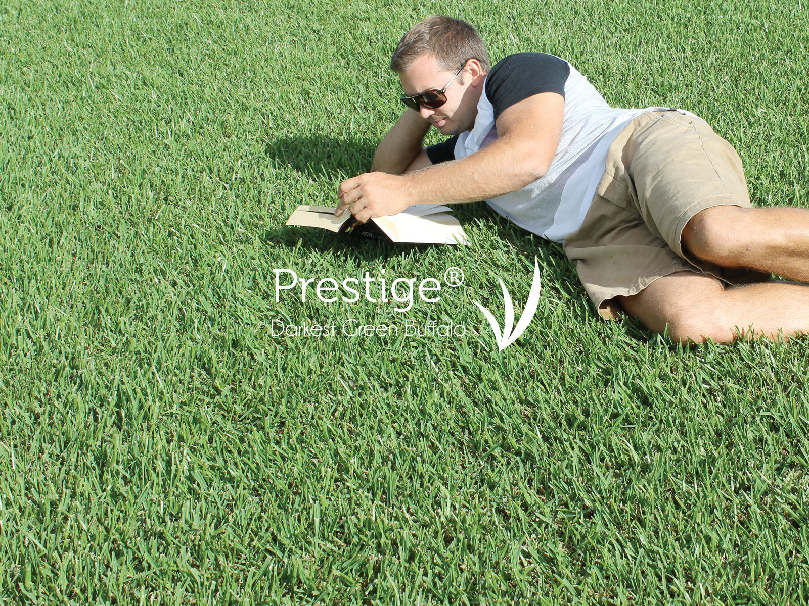 Kentucky Turf Nursery