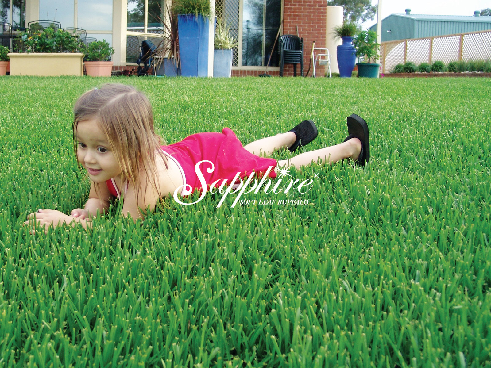 Hawkesbury Turf Supplies