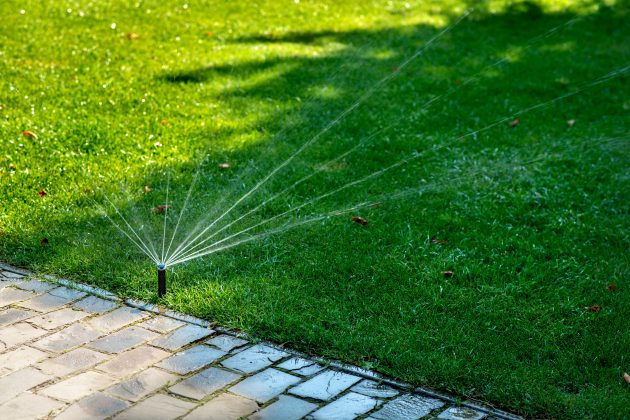 Watering Lawn