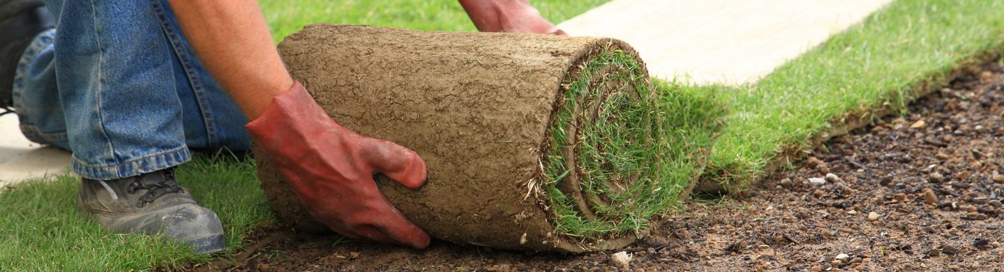 Turf Supplier Laying New Lawn