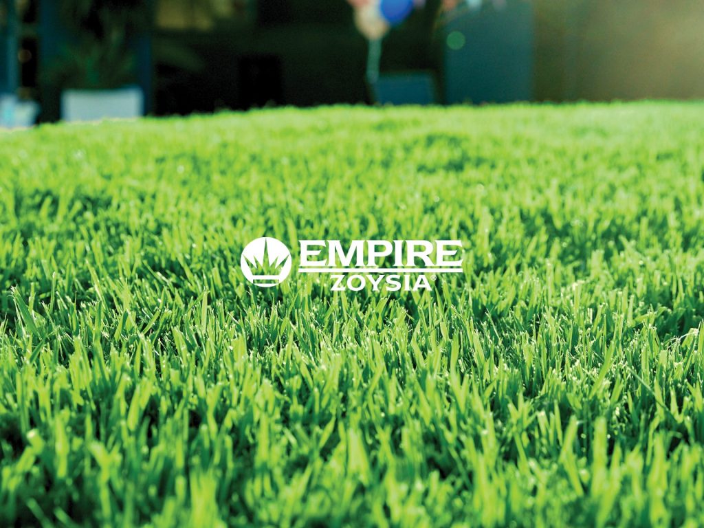 Qualturf