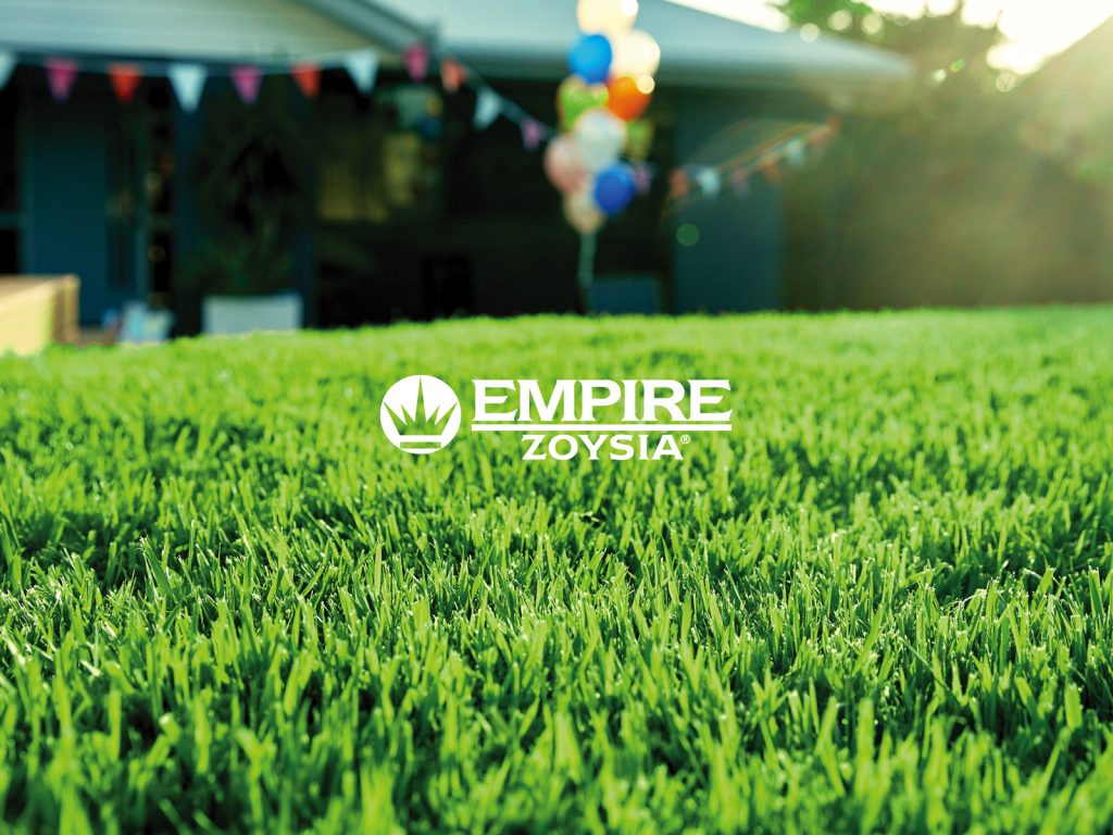 Empire Zoysia