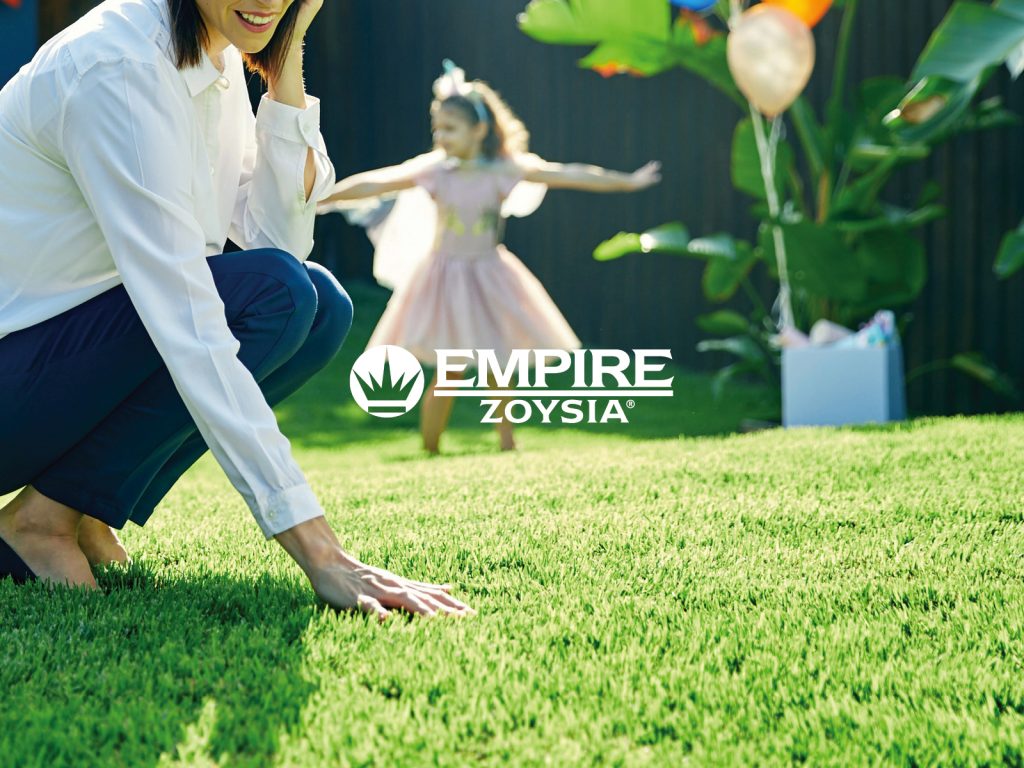 Empire Zoysia Drought Tolerant Turf Variety