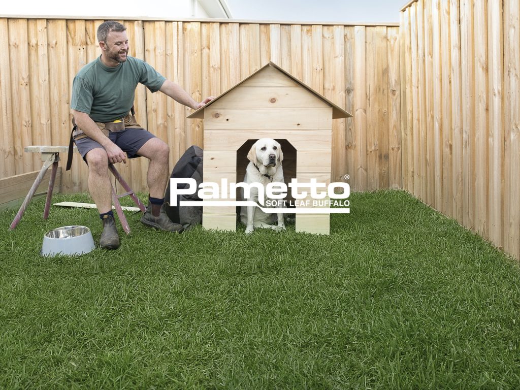 Palmetto Buffalo Turf Layed in Backyard - Melbourne