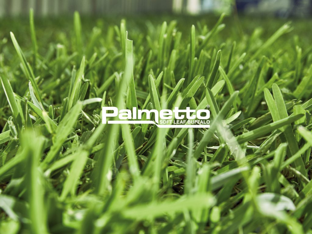 Atlas Turf