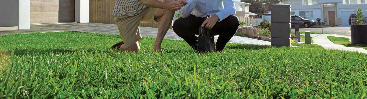 Two Men Admiring Lush Prestige Buffalo Turf in Front Yard of Home