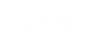 Nara Native Zoysia