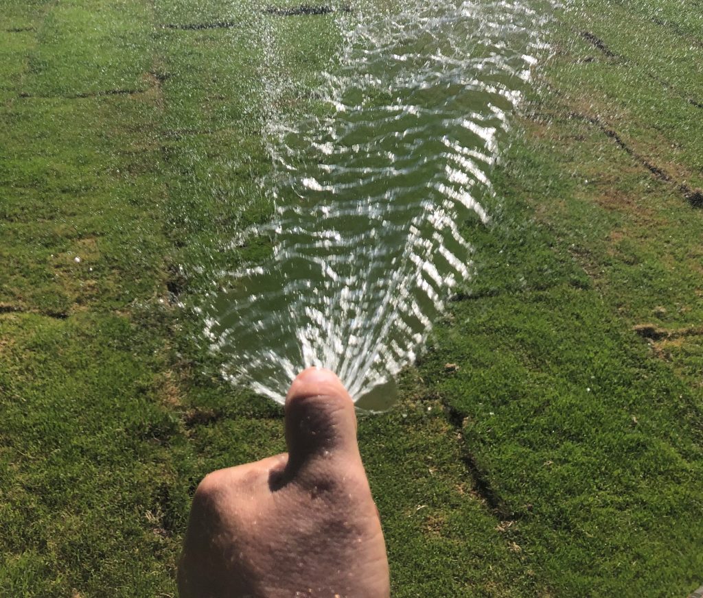 Watering Your Lawn