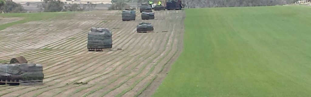 Greenfields Turf Farm