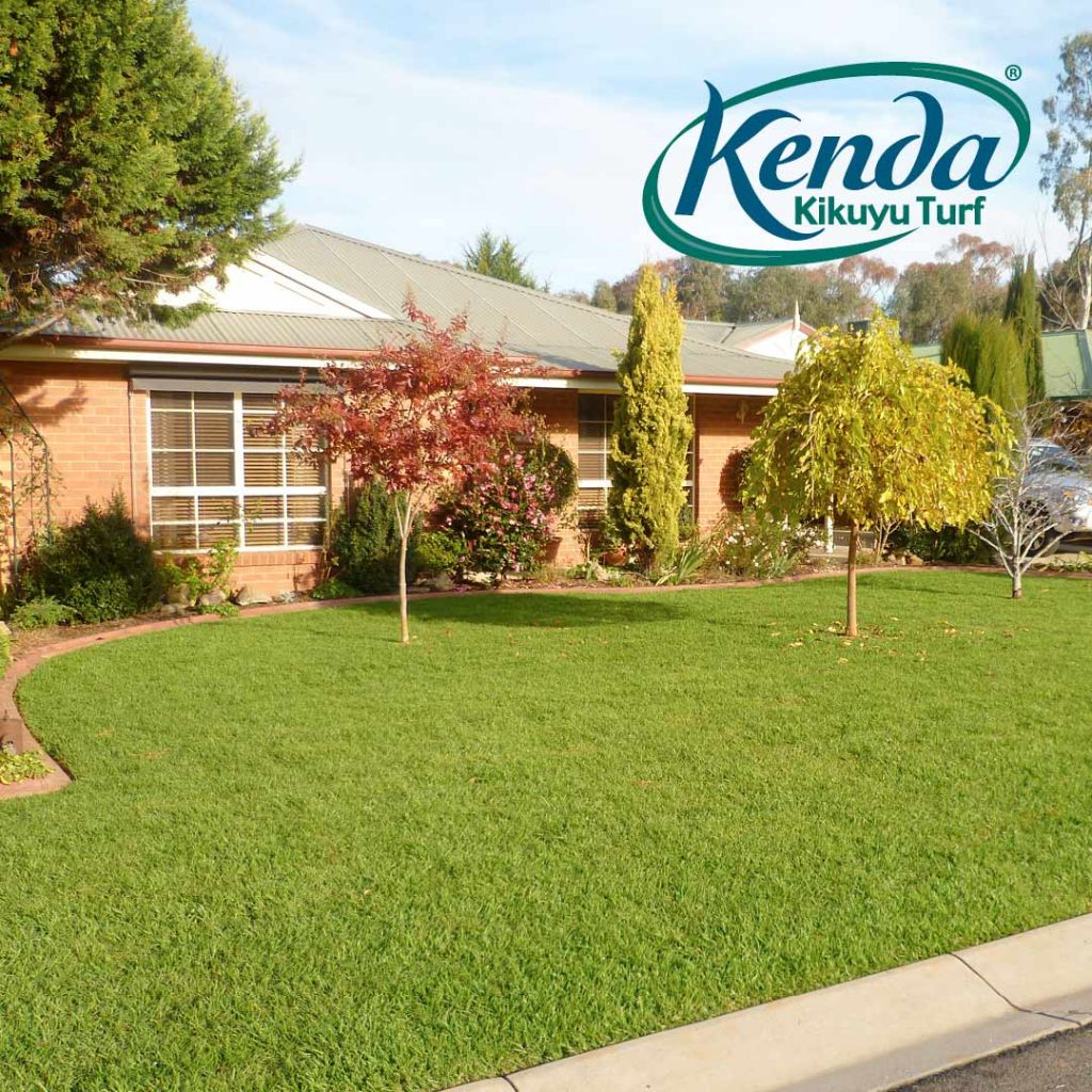 Kenda Kikuyu Turf Front Yard Brisbane