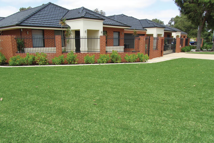 Front Lawn in Sydney NSW