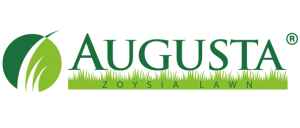 Augusta Zoysia