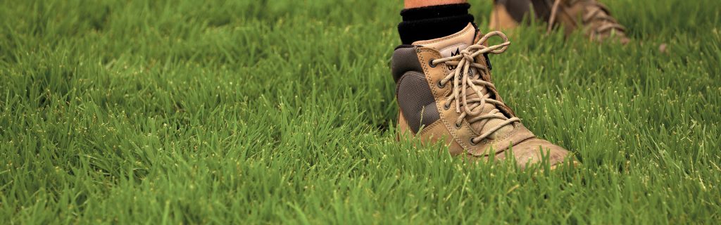 Colliers Turf Supplies