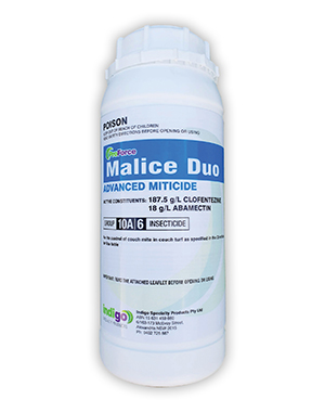 Indigo Malice Duo 1L