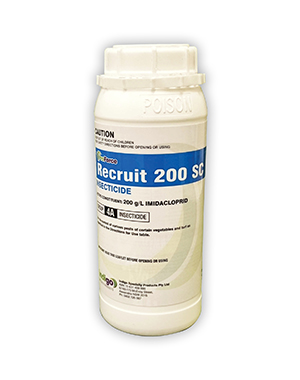 Indigo Recruit 200SC 1L