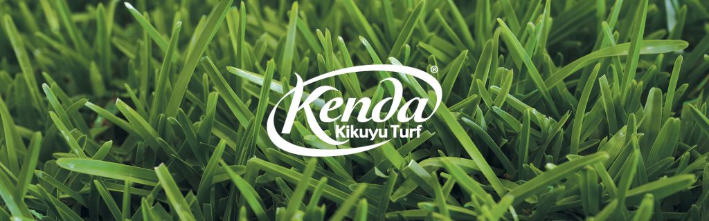 Ryans Turf