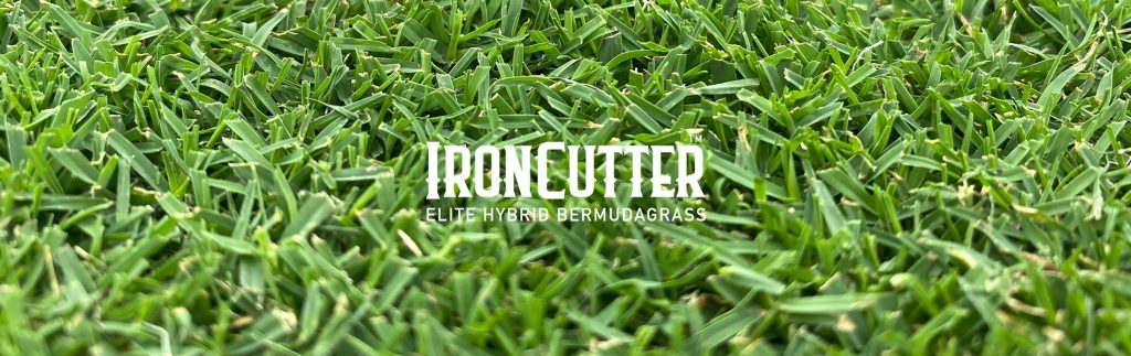 Albert Valley Turf